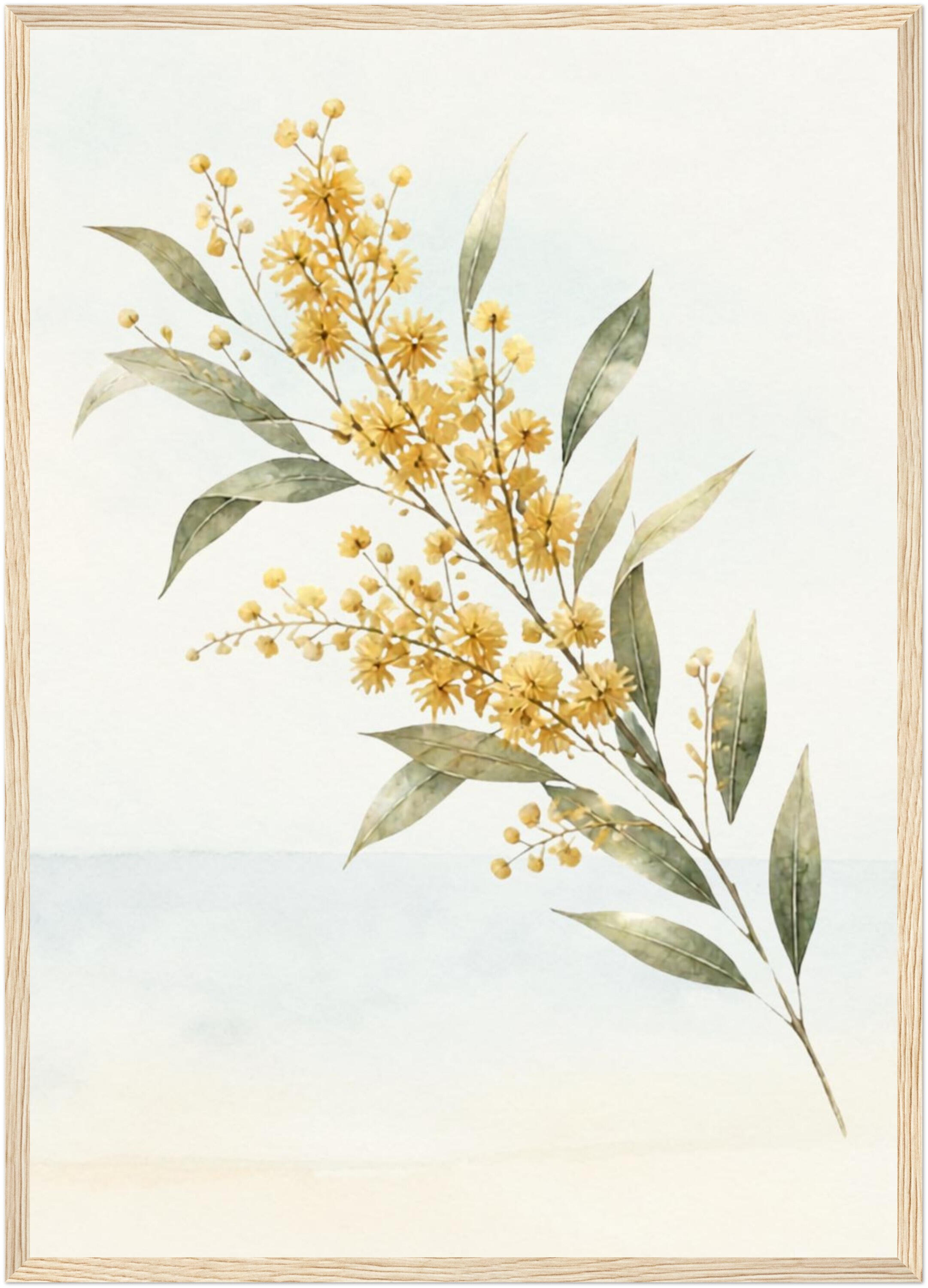 Golden Wattle Acacia Framed Poster